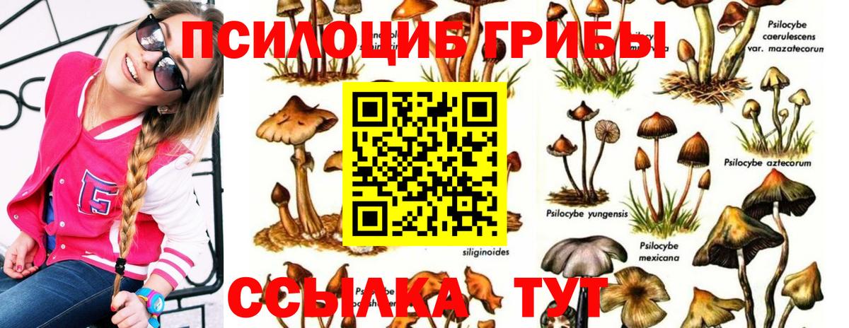 Псилоцибиновые грибы мухоморы  Вход с VPN  магазин продажи наркотиков  Красногорск  Галлюциногенные грибы Cubensis 